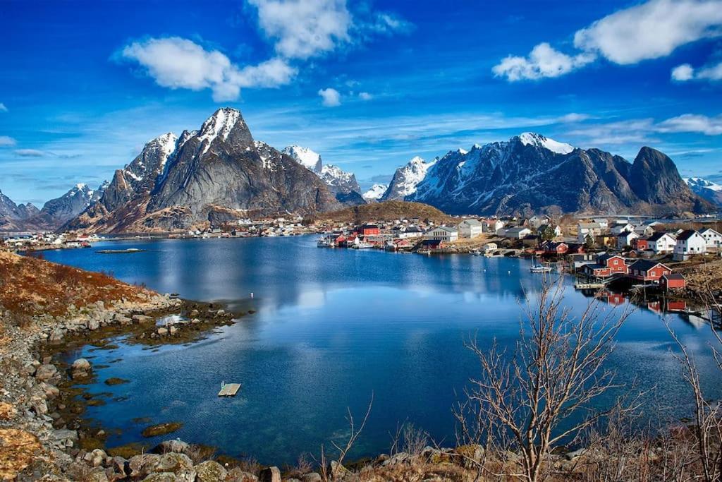 Reine Retro Villa - Cozy Villa With A Fantastic View Exteriér fotografie